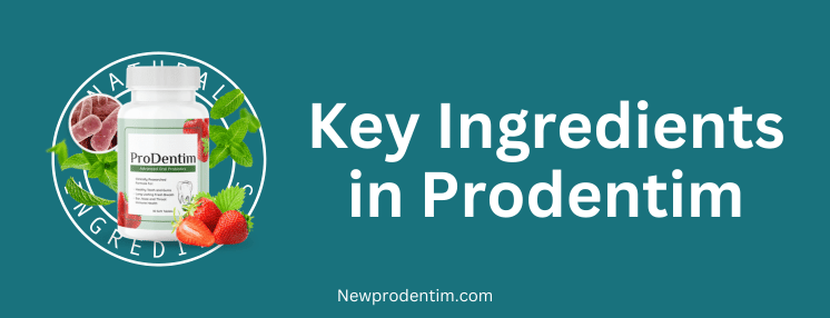 Key Ingredients in Prodentim